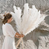 BohoBliss - Torkat Pampasgräs