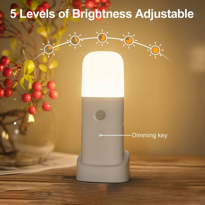 LED-nattlampa med rörelsesensor – USB-laddningsbar och justerbar ljusstyrka för sovrum och hallar