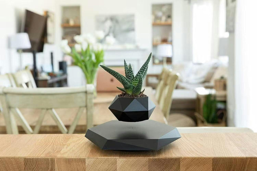 Svävande blomkruka med magnetisk levitation - Liva