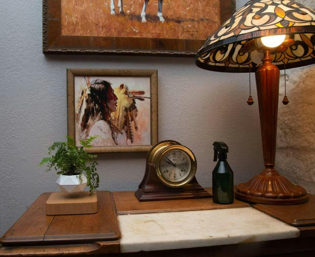 Svävande blomkruka med magnetisk levitation - Liva