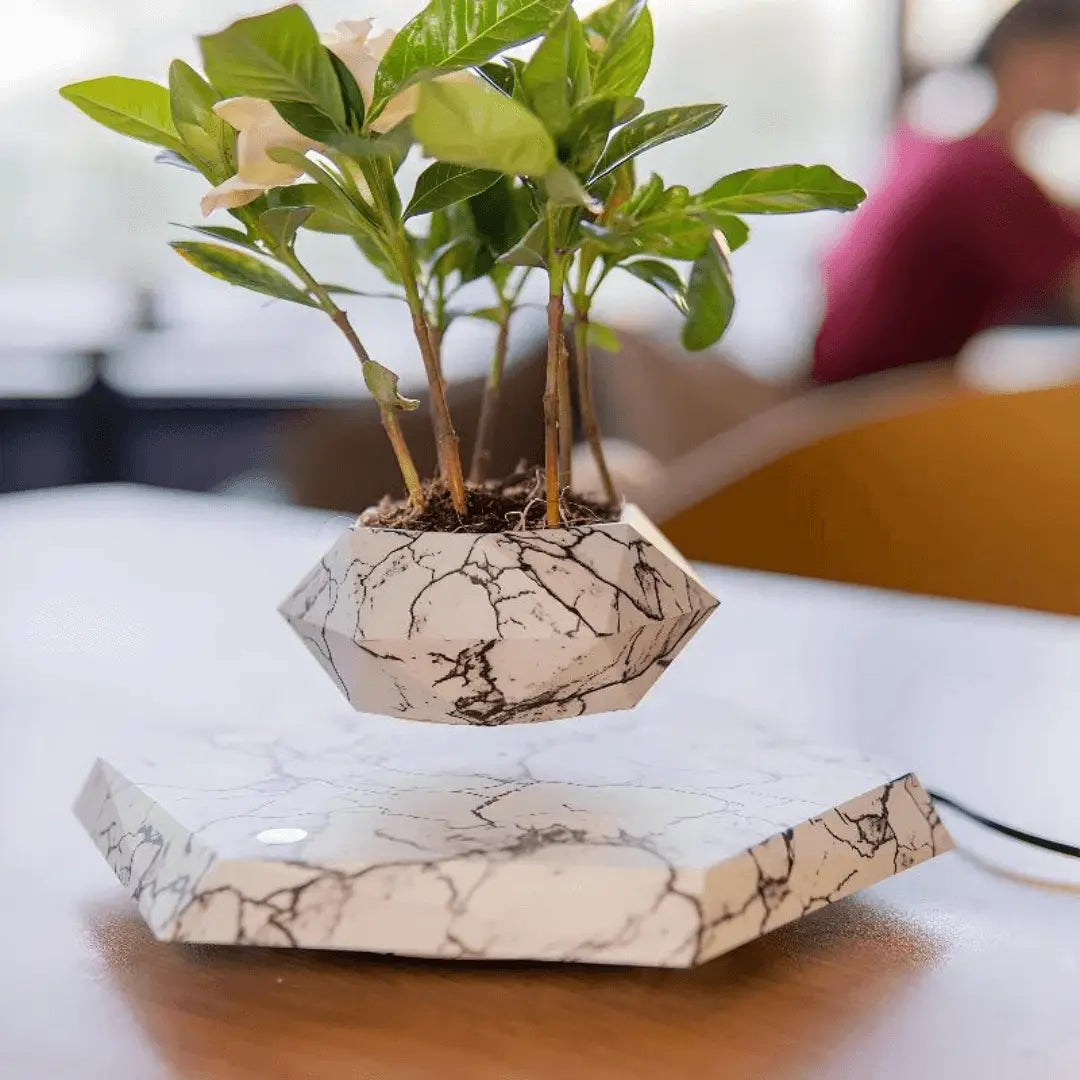 Svävande blomkruka med magnetisk levitation - Liva