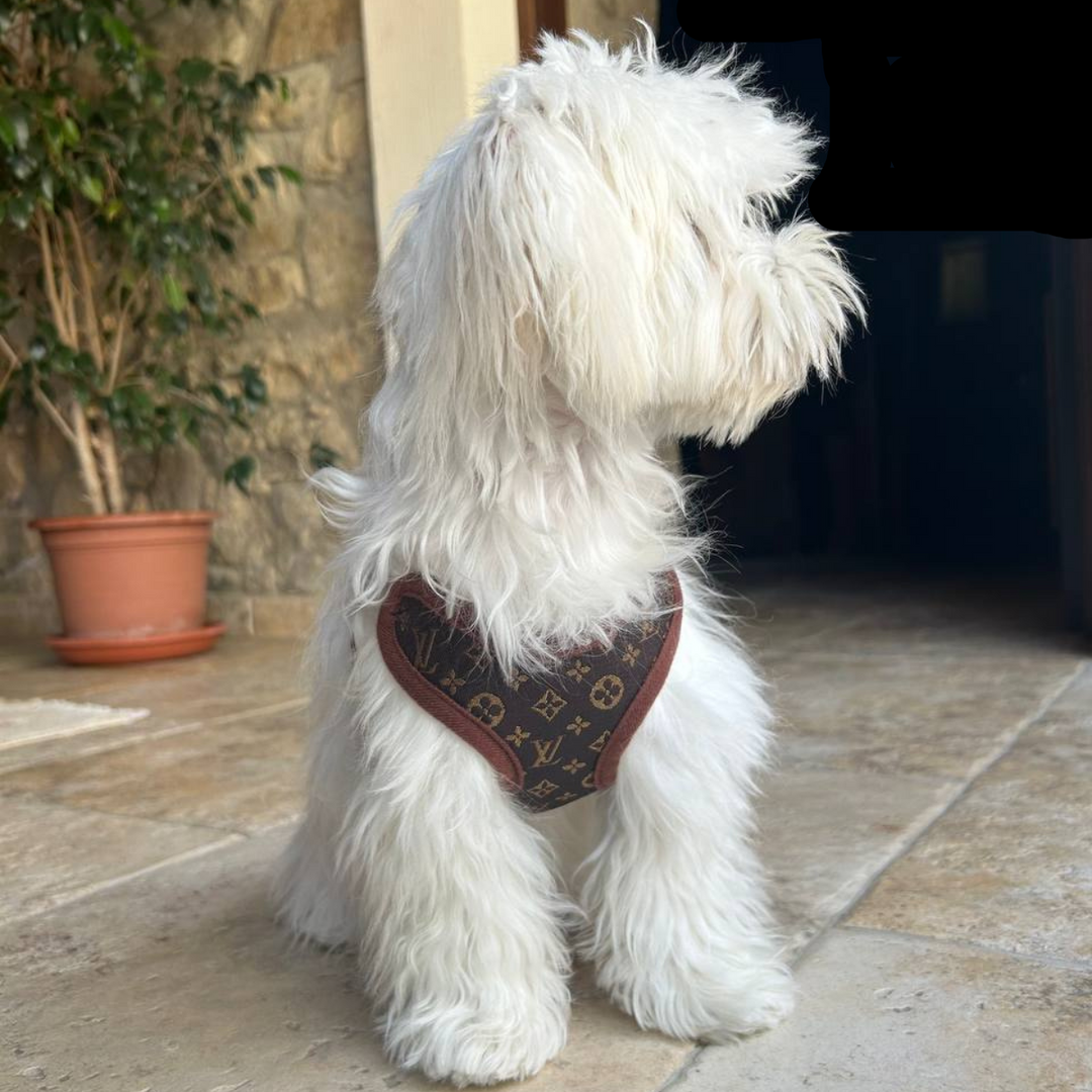Sele- och Kopplingsset – PawLuxe