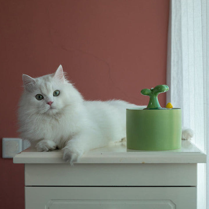 Kattfontän – SpringFlow
