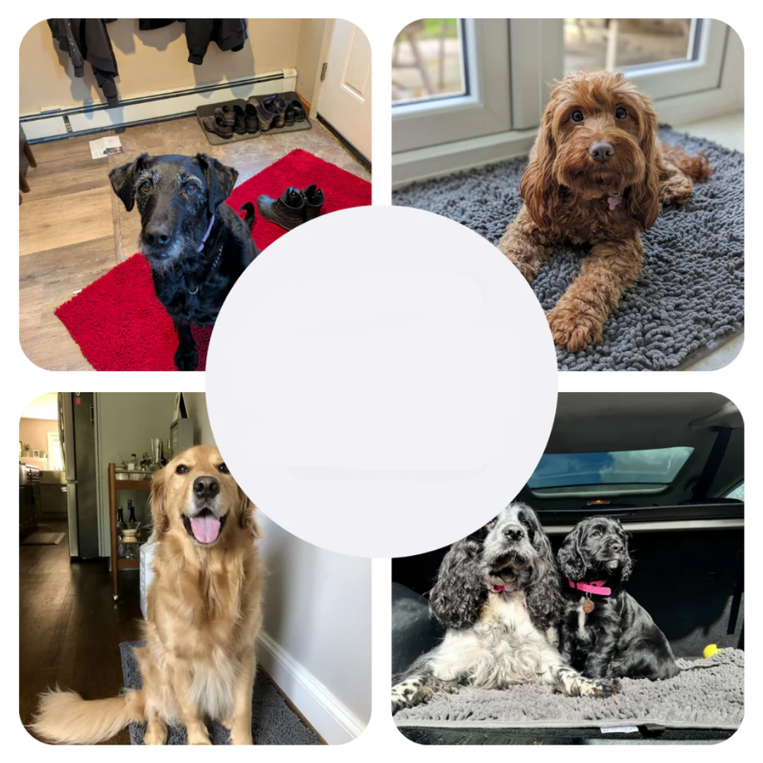 Extra Absorberande Matta för Hundar – PawMat
