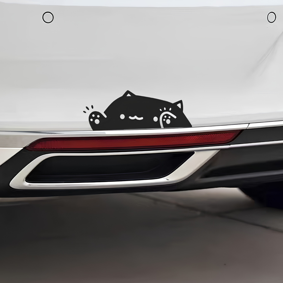 Kattdekal för Bilfönster