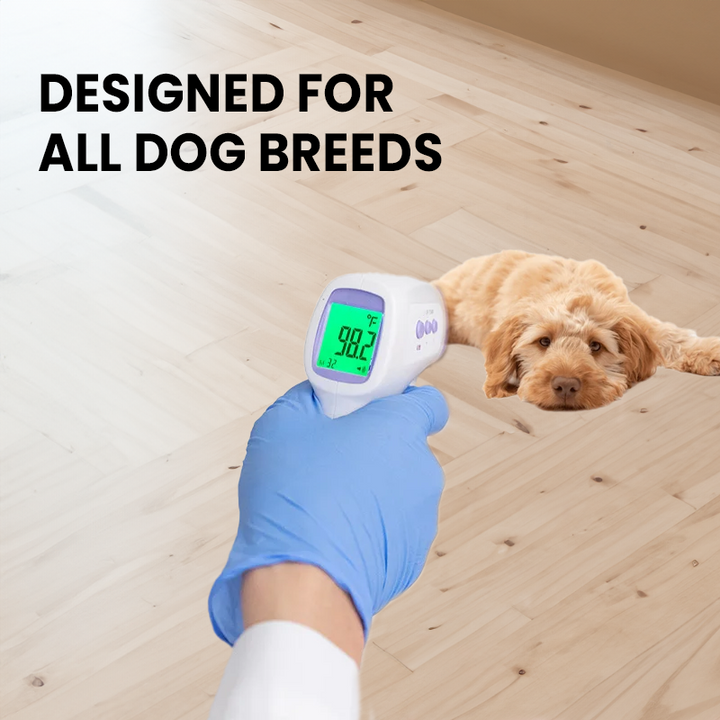 Beröringsfri hundtermometer med avläsning med ett klick