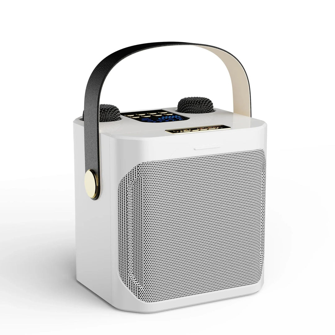 Kraftfull Bluetooth-karaokehögtalare – bärbar trådlös subwoofer-högtalare med 360° surroundljud och dubbel mikrofon