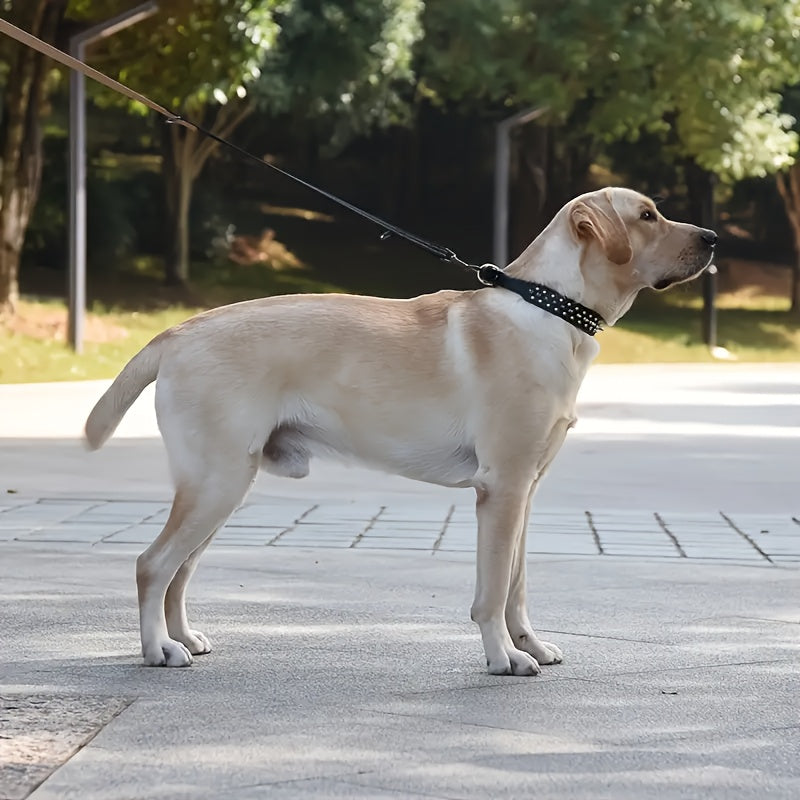 Justerbart hundhalsband med spikar - Starkt och säkert för stora hundar
