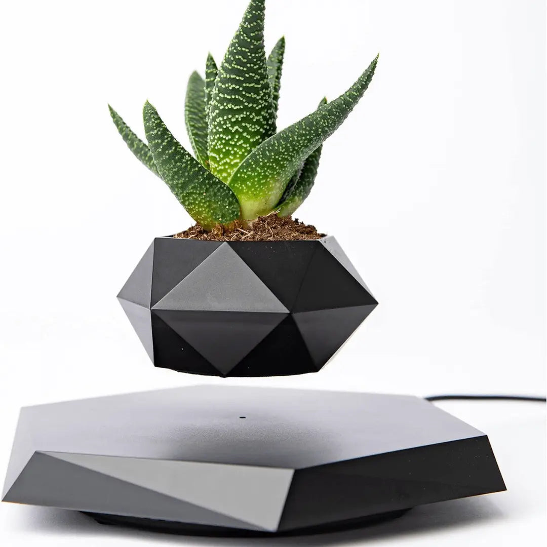Svävande blomkruka med magnetisk levitation - Liva