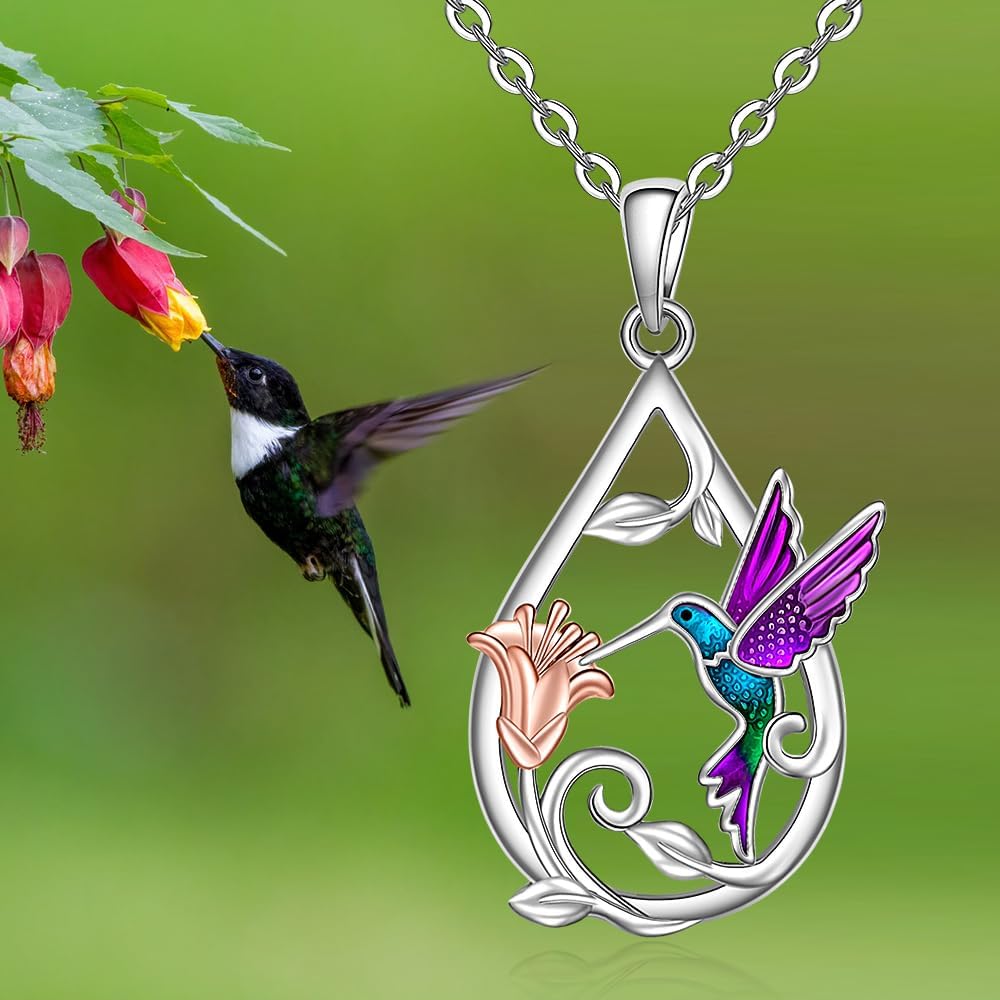 Vackert Kolibri Halsband för kvinnor med Bonusörhängen