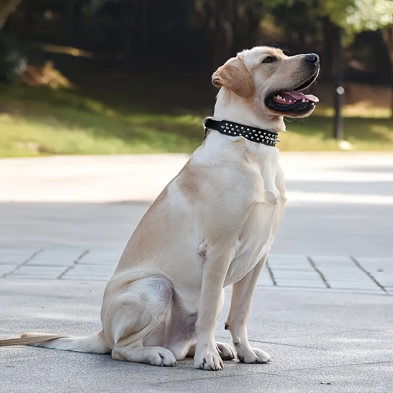 Justerbart hundhalsband med spikar - Starkt och säkert för stora hundar