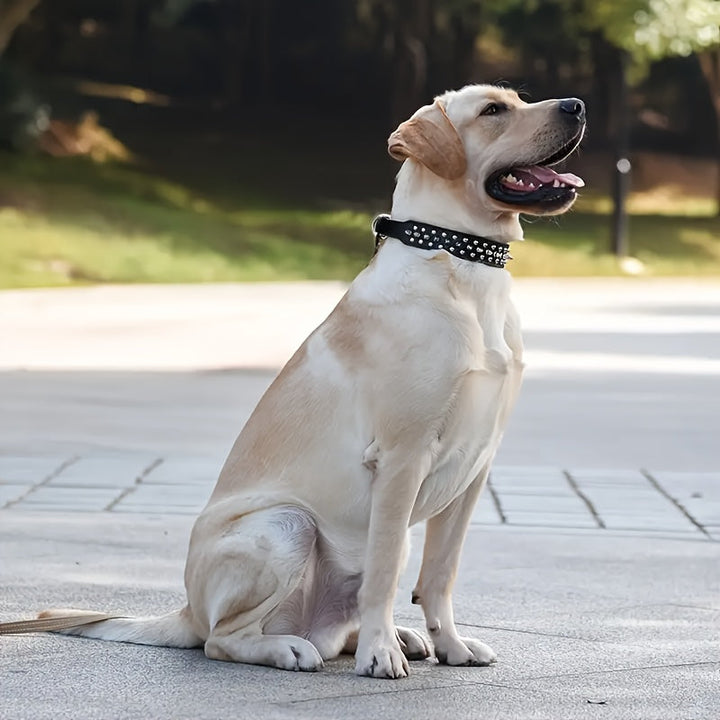 Justerbart hundhalsband med spikar - Starkt och säkert för stora hundar
