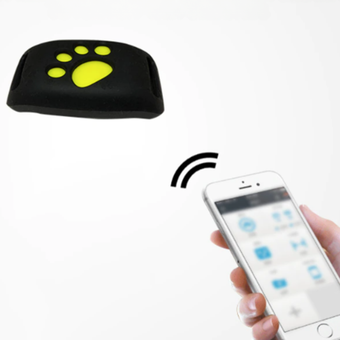 PetSafe GPS-halsband för husdjur – realtidsspårning, vattentätt och utan abonnemang
