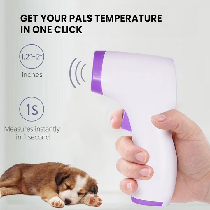 Beröringsfri hundtermometer med avläsning med ett klick