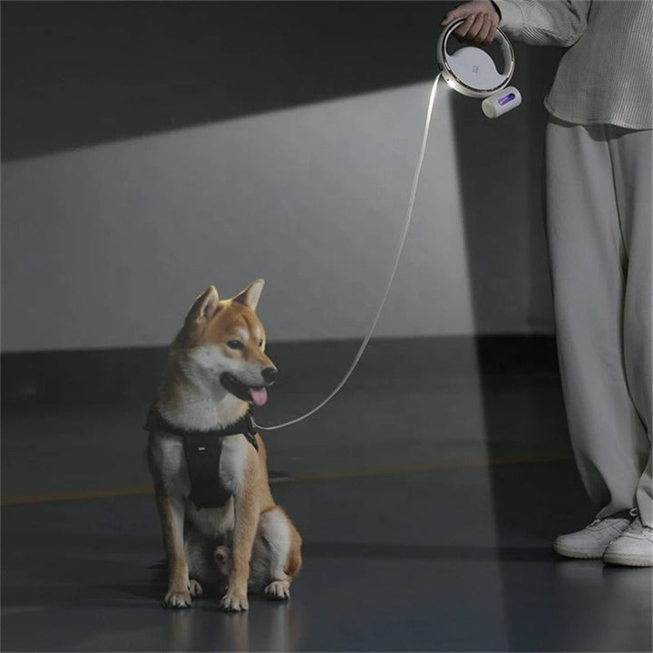 Automatiskt hundkoppel med LED – ergonomiskt handtag och säkerhetsljus
