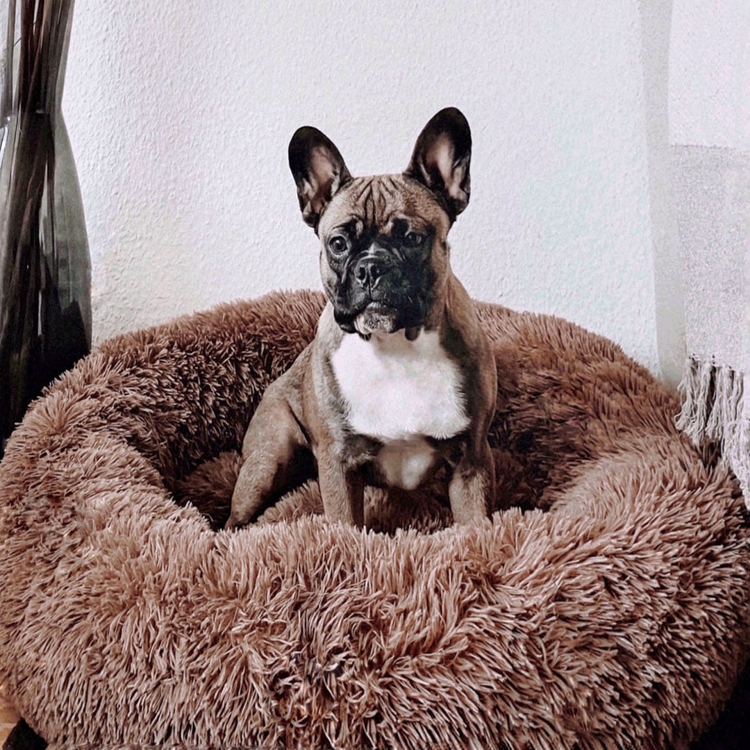 Fluffy Plus hundsäng – Originalet