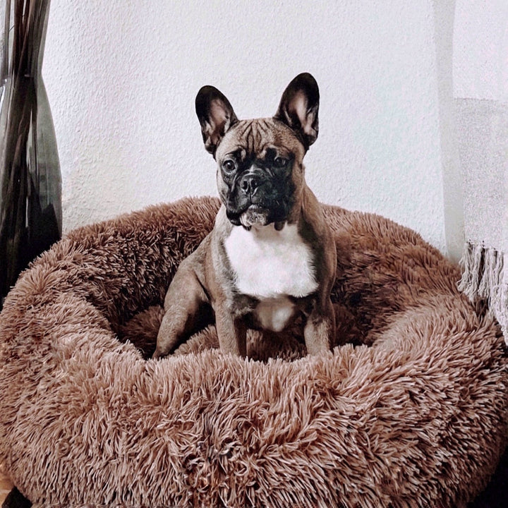 Fluffy Plus hundsäng – Originalet