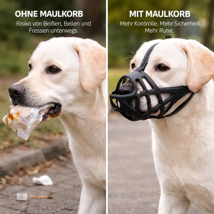 Hundmunkorg | Andningsaktiv & justerbar för träning och daglig användning