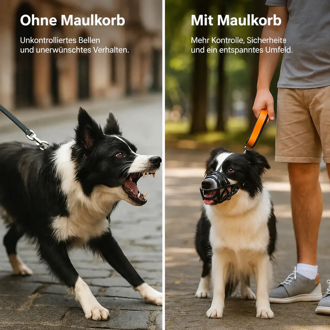 Hundmunkorg | Andningsaktiv & justerbar för träning och daglig användning