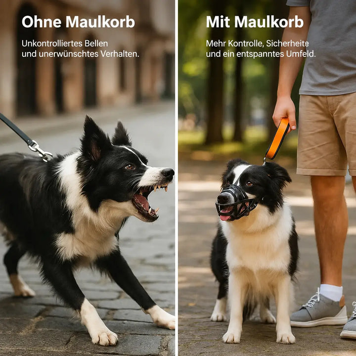 Hundmunkorg | Andningsaktiv & justerbar för träning och daglig användning