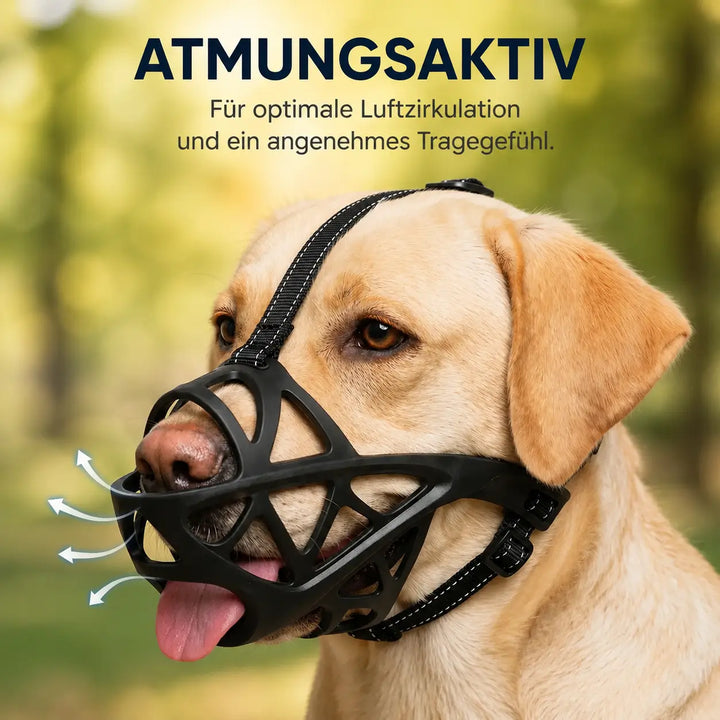 Hundmunkorg | Andningsaktiv & justerbar för träning och daglig användning