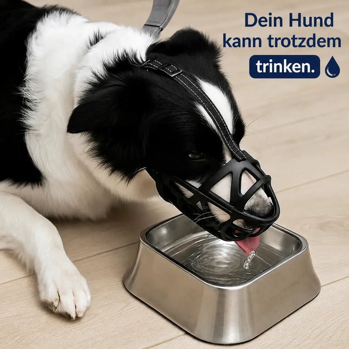 Hundmunkorg | Andningsaktiv & justerbar för träning och daglig användning