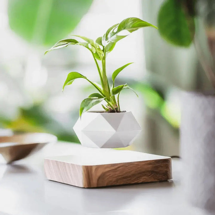 Svävande blomkruka med magnetisk levitation - Liva