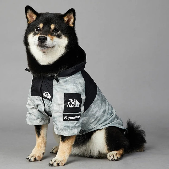 PawDry vattentät hundjacka | Lätt vindtät jacka för fransk bulldogg, chihuahua med flera