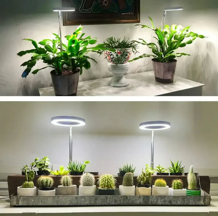 Fullspektrum-LED-växtlampa med timer och dimmerfunktion