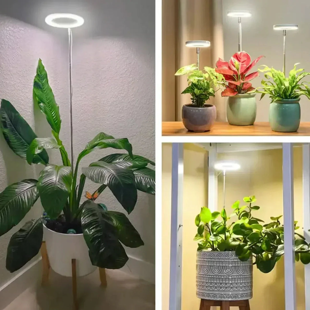 Fullspektrum-LED-växtlampa med timer och dimmerfunktion