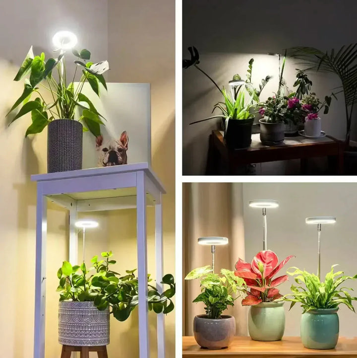 Fullspektrum-LED-växtlampa med timer och dimmerfunktion