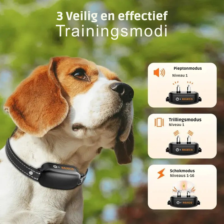 ProTrain – Laddningsbart och vattentätt hundträningshalsband