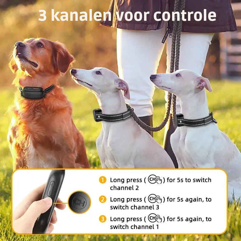ProTrain – Laddningsbart och vattentätt hundträningshalsband