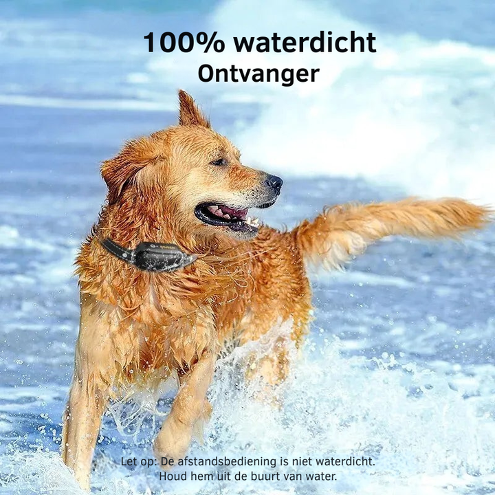 ProTrain – Laddningsbart och vattentätt hundträningshalsband