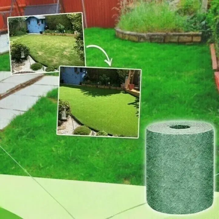 Gräsmatta | Snabb gräsmatterenovering | Alternativ till rullgräs | TerraSprout