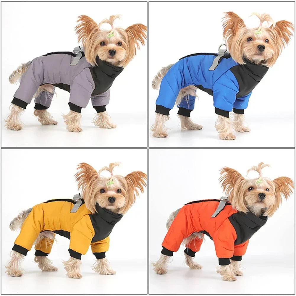 FurLuxe vattentät vinterjacka med sele - jacka för hundar av liten och medelstor storlek