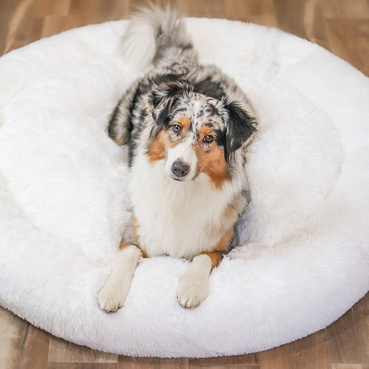 Fluffy Plus hundsäng – Originalet