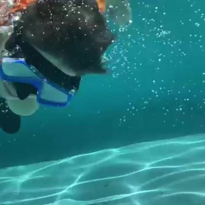 AquaClear snorkelset – vattentätt, bekvämt och med bra sikt