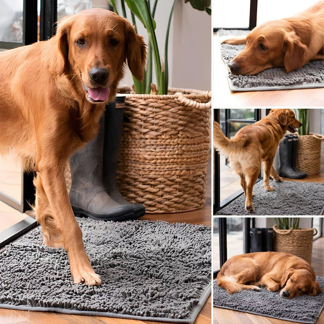 Absorberande halkfri hunddörrmatta för smutsiga tassar