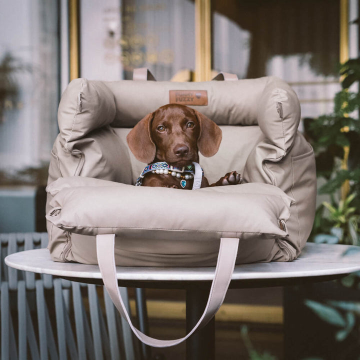 Bekväm vinter-bilkorg för hund – PawLuxury