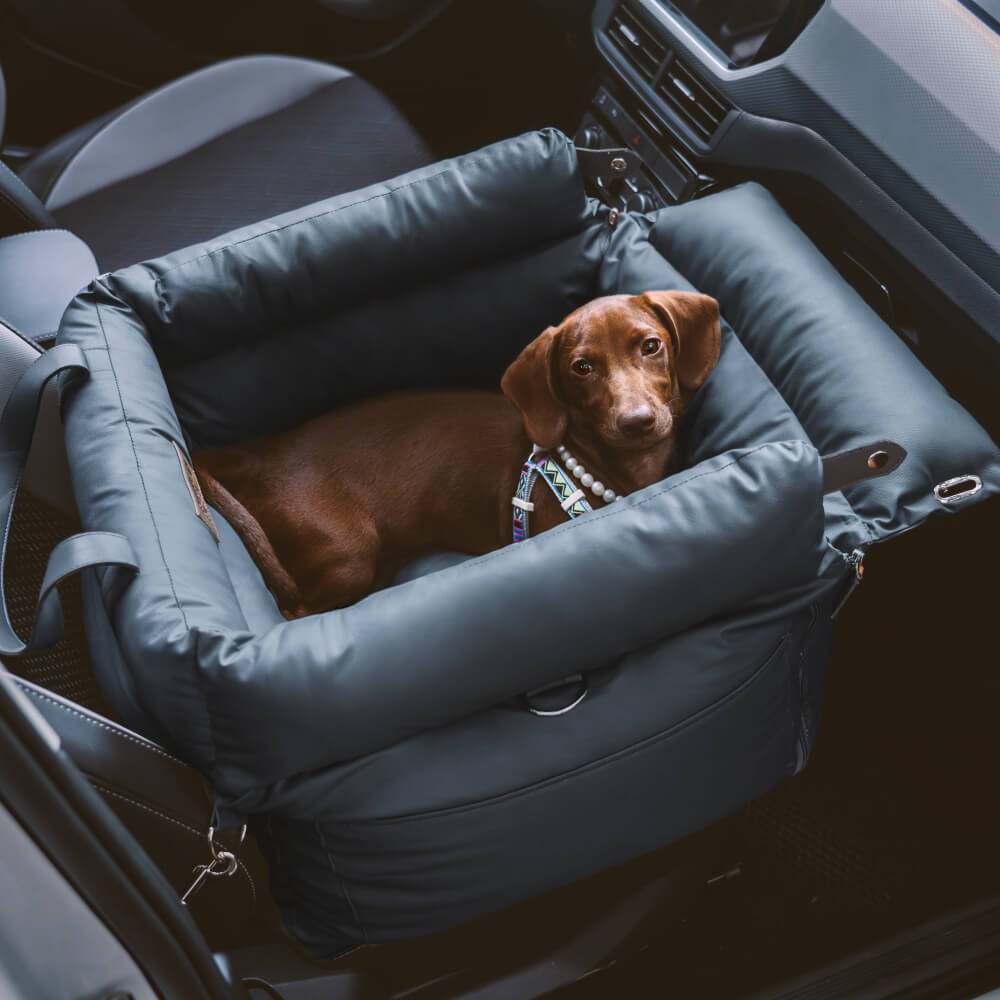Bekväm vinter-bilkorg för hund – PawLuxury