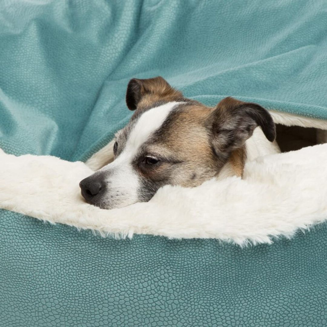Vinterhundgrotta - SnuggleNest Vinter