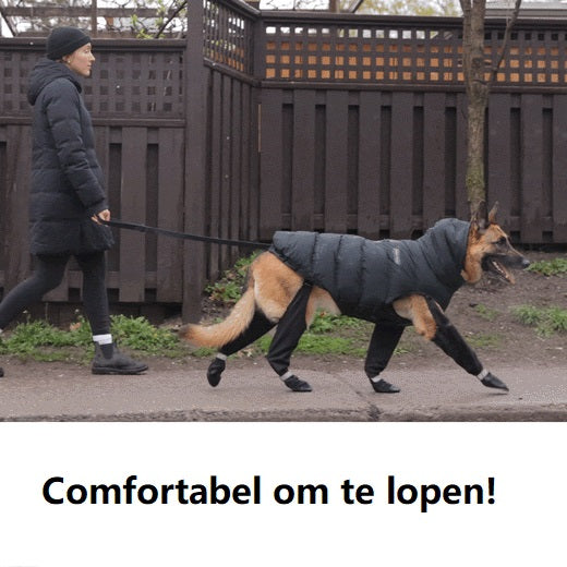 Stövlar för säkra utomhusäventyr – PawShield