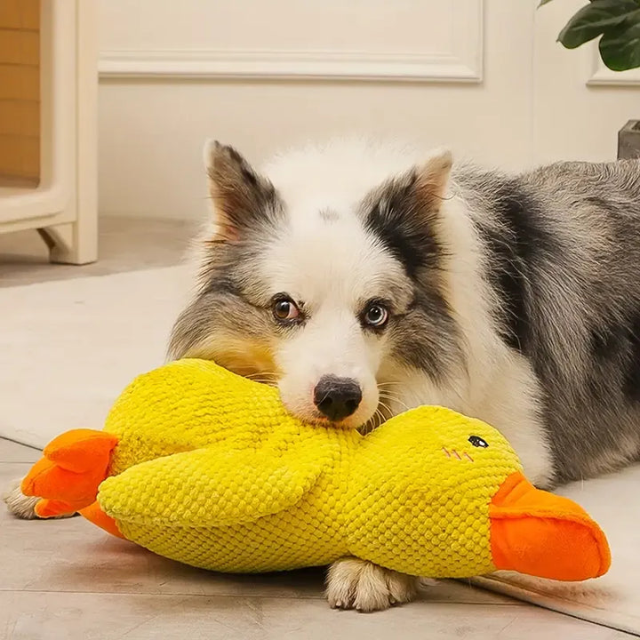 Interaktiv hundleksak med ljud och tandvård - FlappyDuck