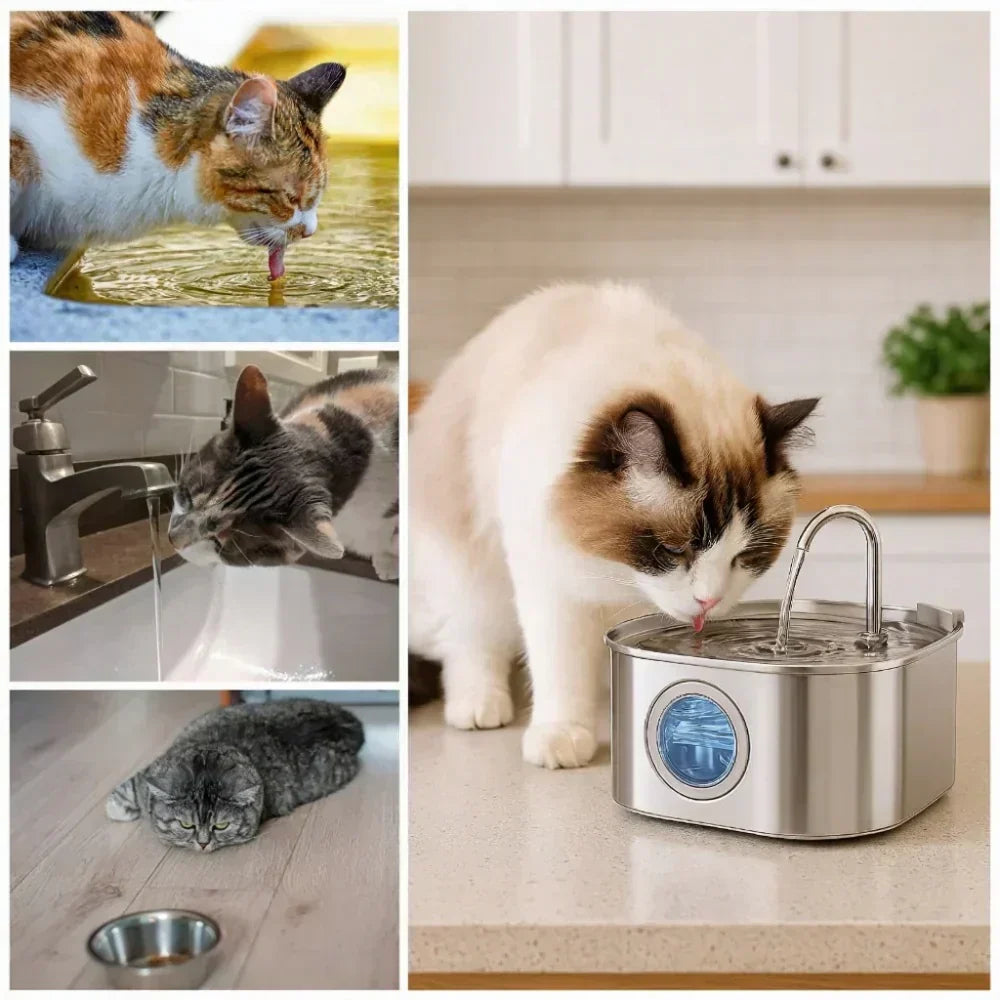SereneFlow husdjursfontän i veterinärkvalitet för tyst drift och enkel rengöring