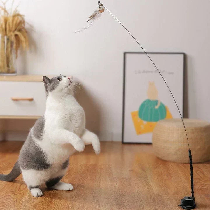 Interaktiv leksak för katter - FlutterFriend