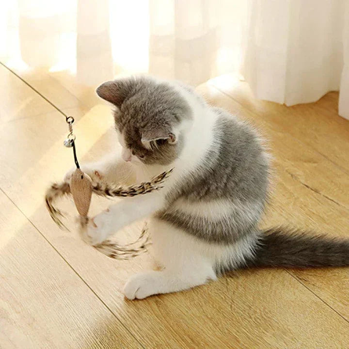 Interaktiv leksak för katter - FlutterFriend
