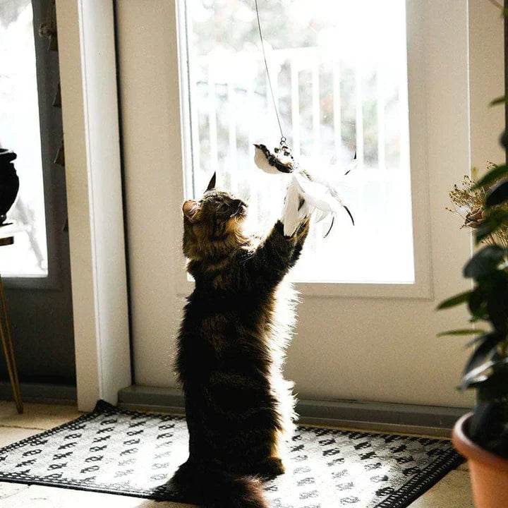 Interaktiv leksak för katter - FlutterFriend