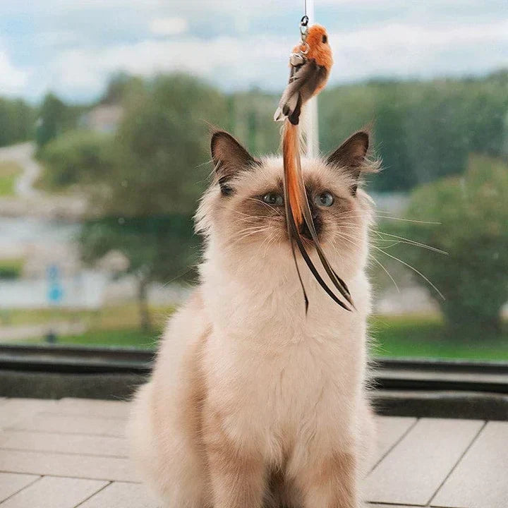 Interaktiv leksak för katter - FlutterFriend