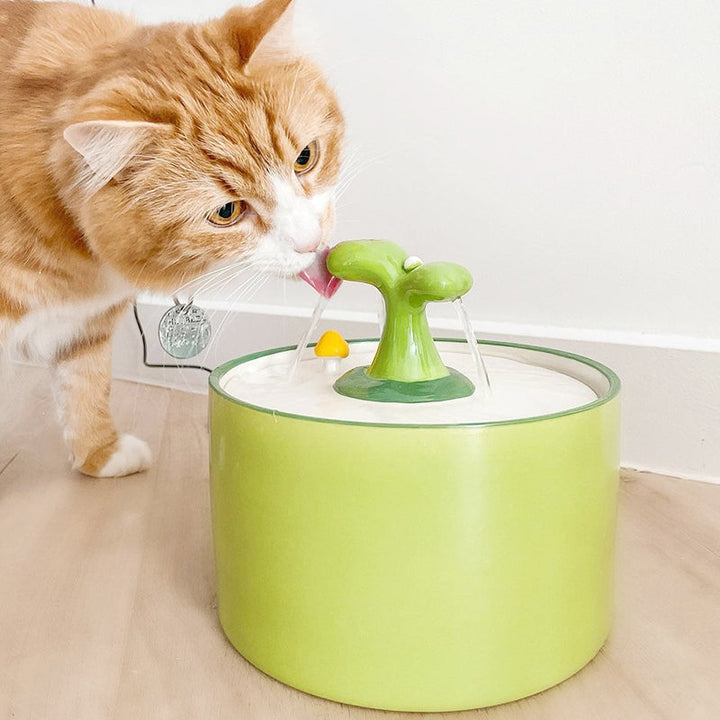 Kattfontän – SpringFlow